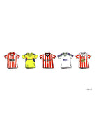 ART OF x Sunderland Classics Framed Print | SAFC Football Art