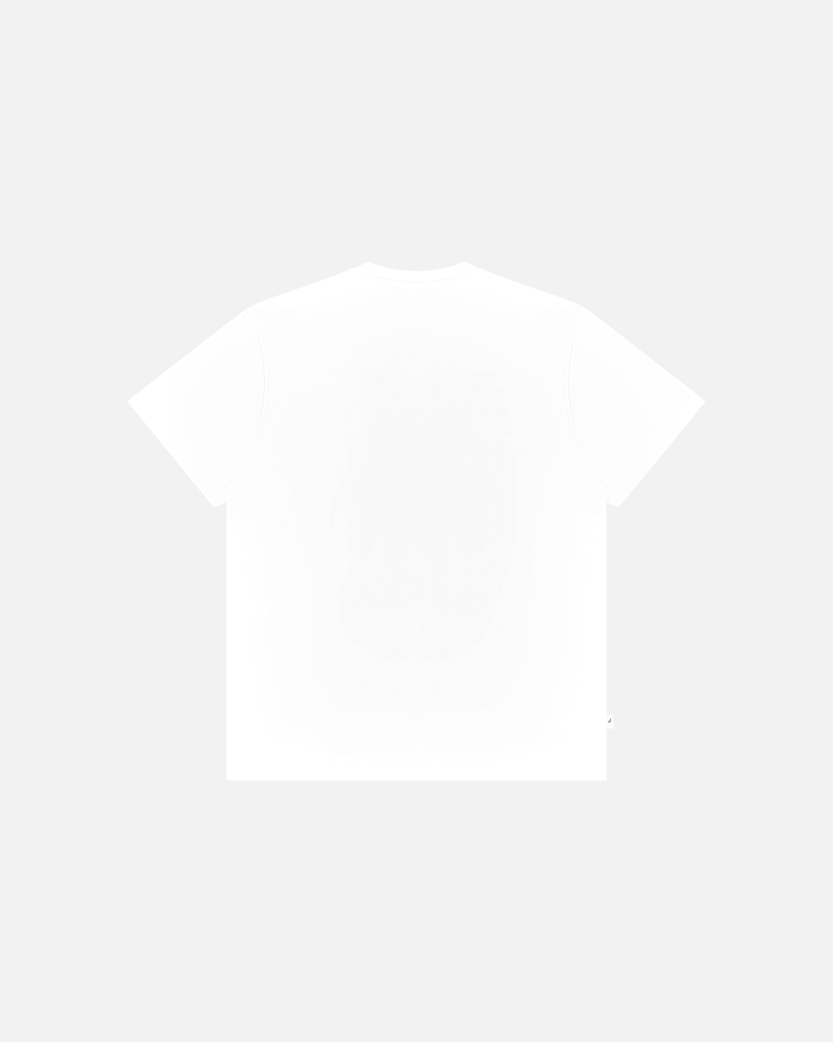 ART OF Scotland We'll Be Coming Tee | AOF White Football T-shirt